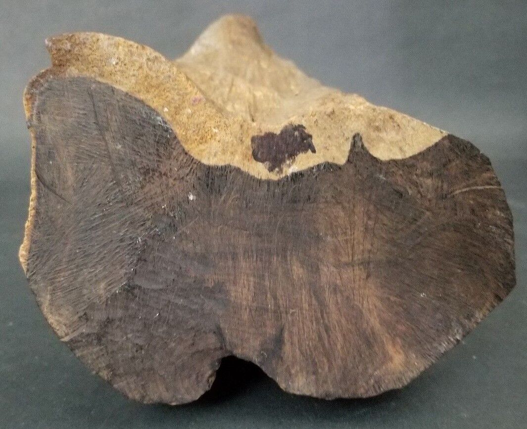 Makonde Tree Of Life Figural Sculpture 16"