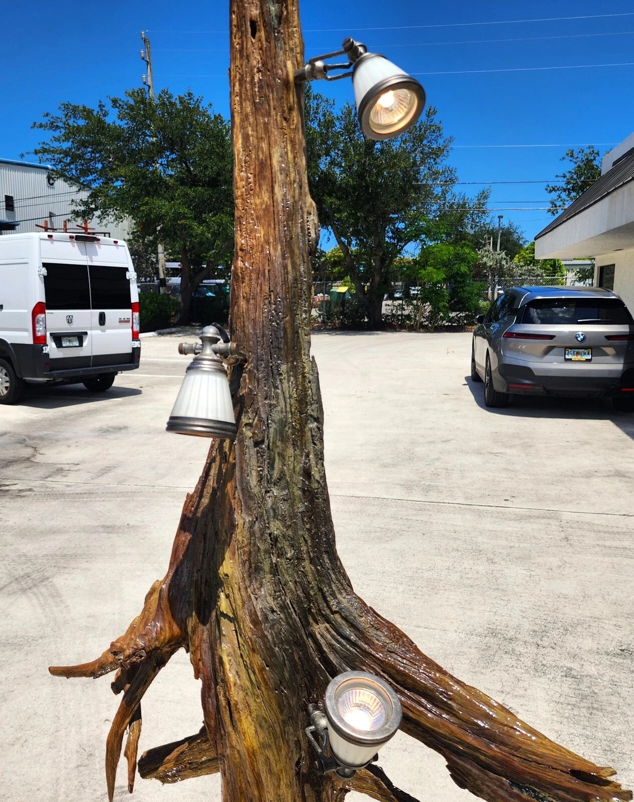 Monumental Driftwood Floor Lamp with Table