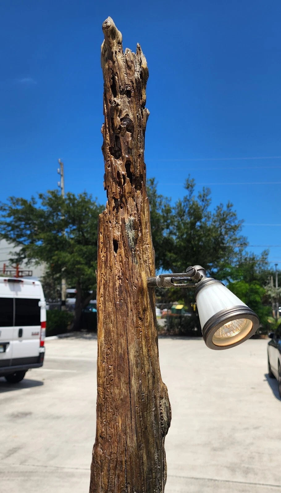 Monumental Driftwood Floor Lamp with Table