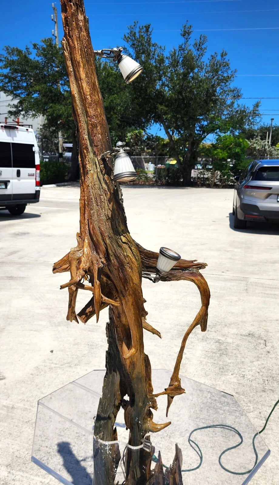 Monumental Driftwood Floor Lamp with Table