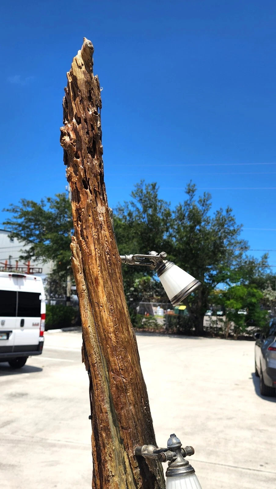 Monumental Driftwood Floor Lamp with Table