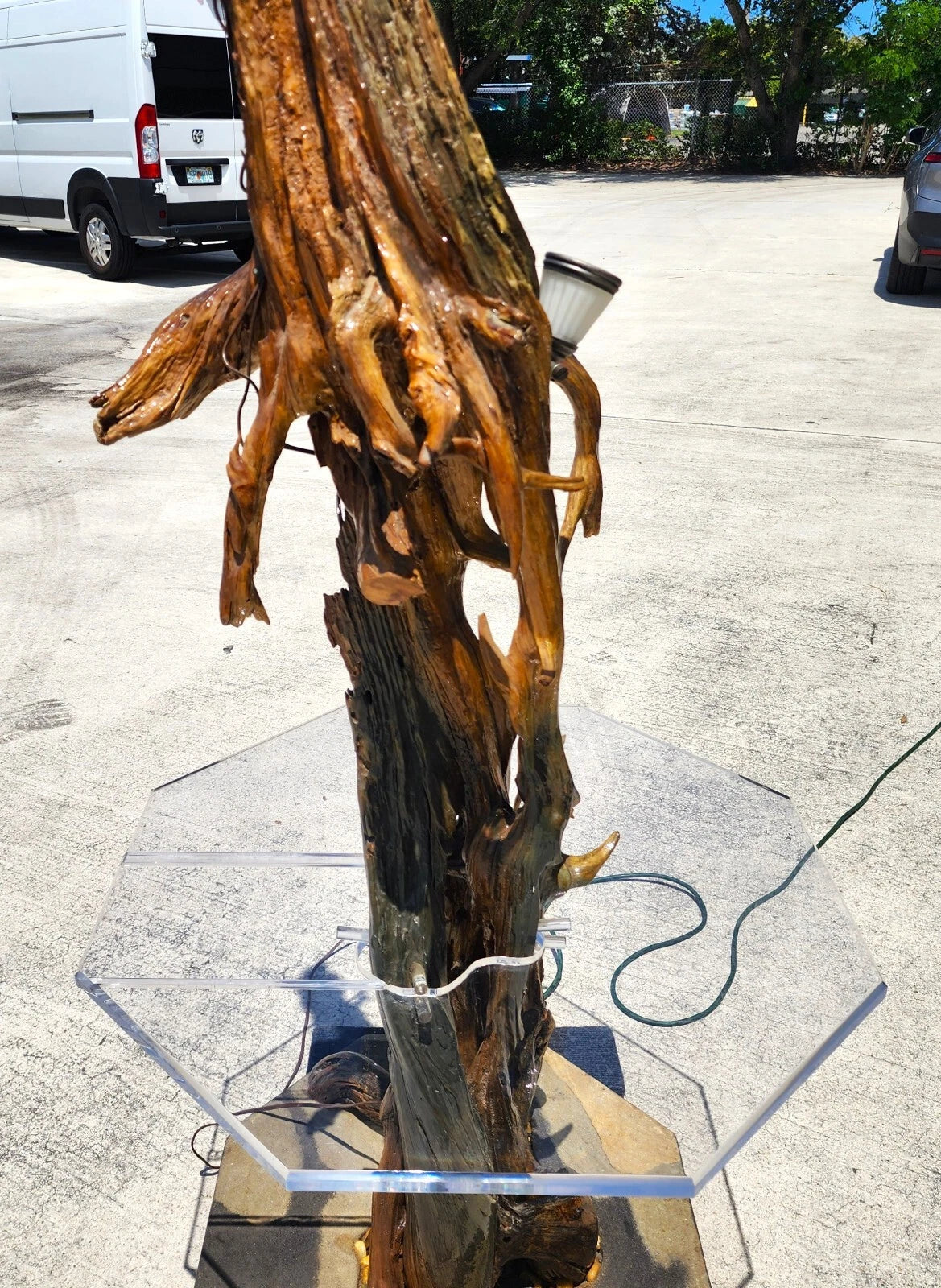 Monumental Driftwood Floor Lamp with Table