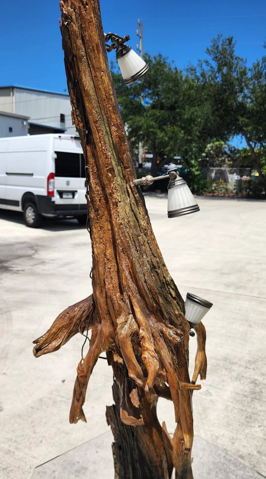 Monumental Driftwood Floor Lamp with Table