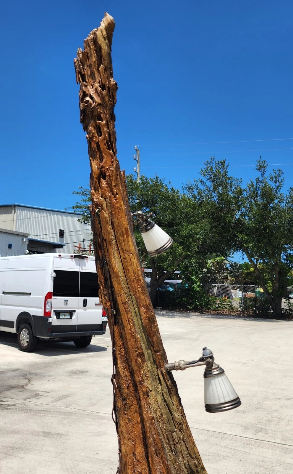 Monumental Driftwood Floor Lamp with Table