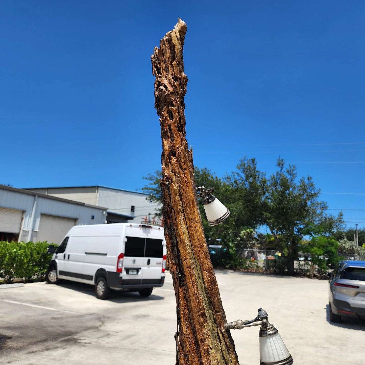 Monumental Driftwood Floor Lamp with Table