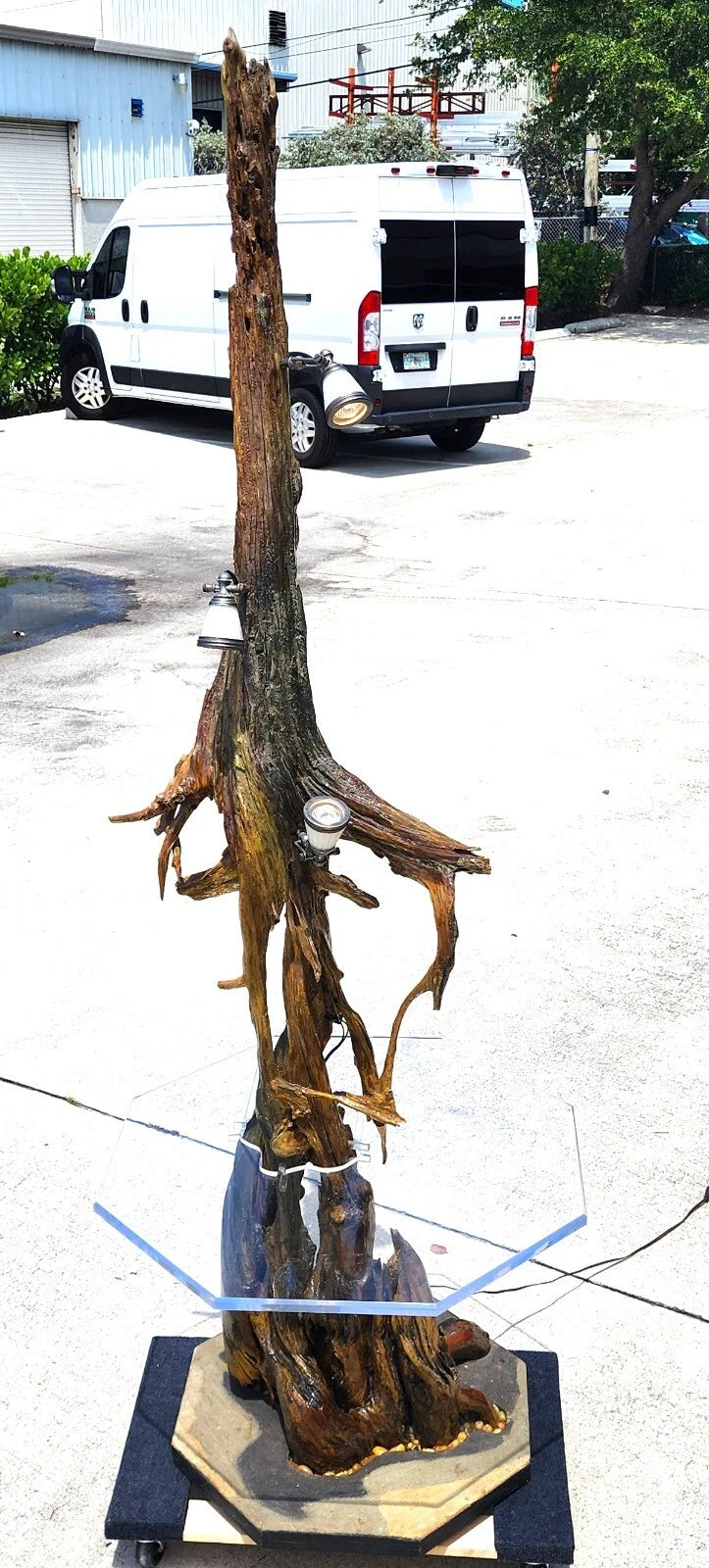 Monumental Driftwood Floor Lamp with Table