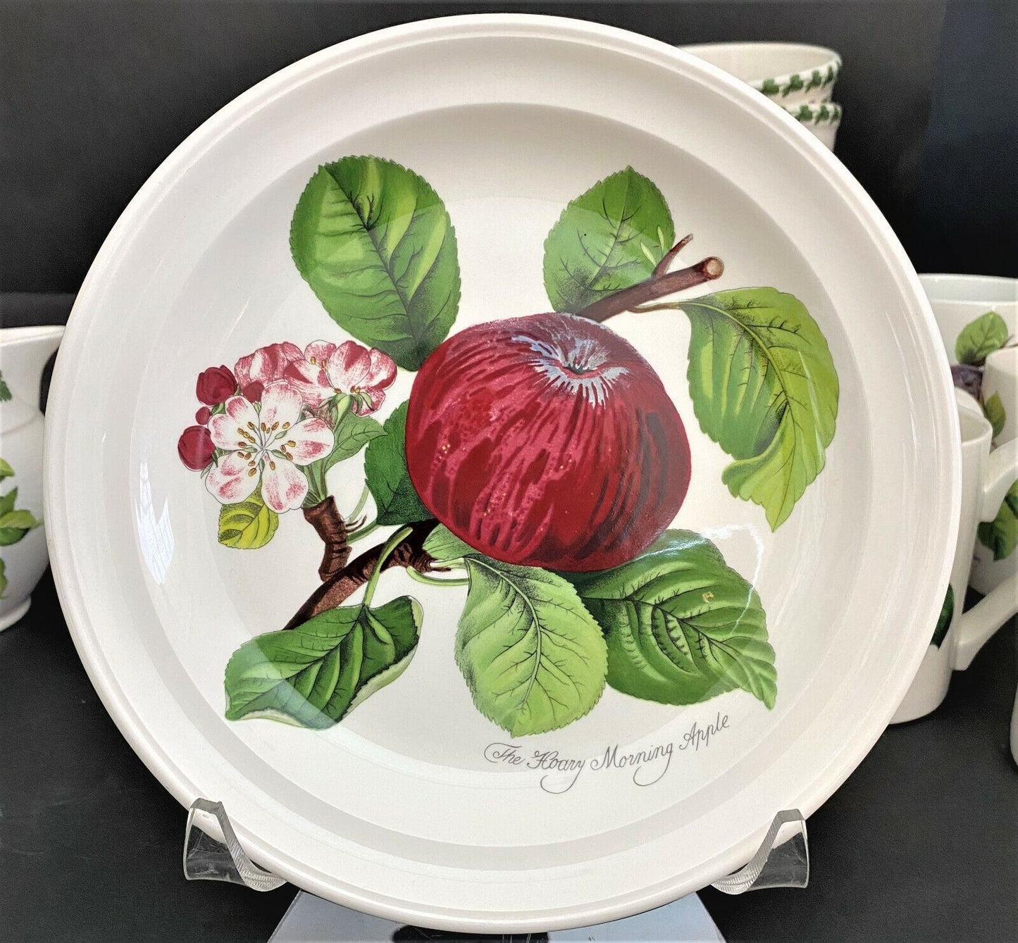 (1) PORTMEIRION Pomona Hoary Morning Apple 8 1/2" Salad Plate
