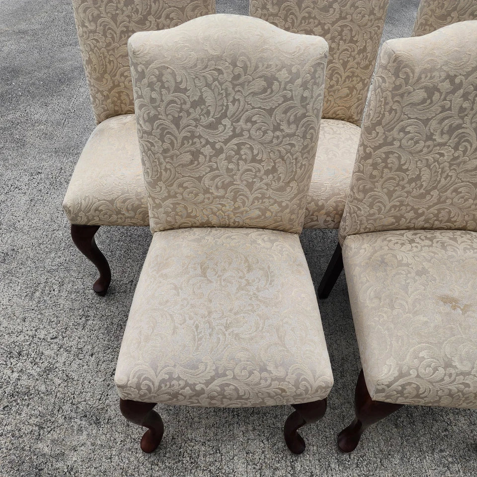 Queen Anne Dining Chairs by Bombay Company Set of 5