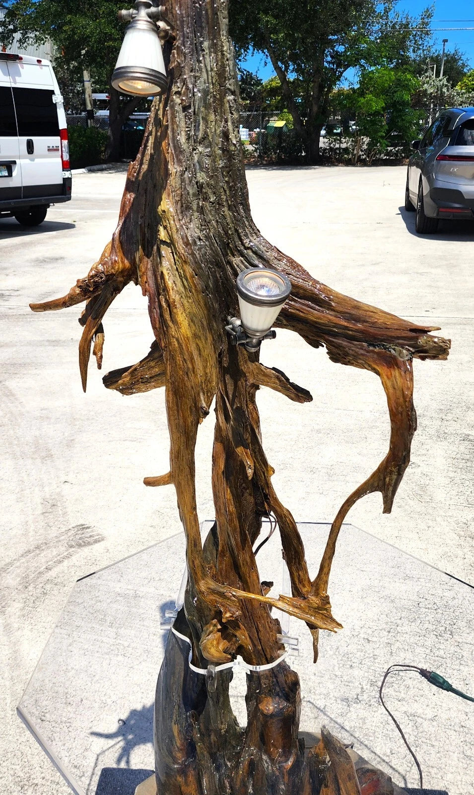 Monumental Driftwood Floor Lamp with Table
