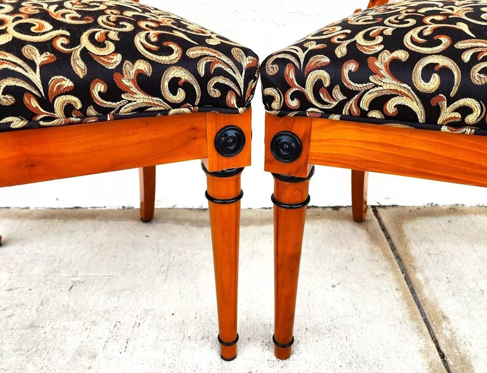Pair of Biedermeier Empire Chairs Burl