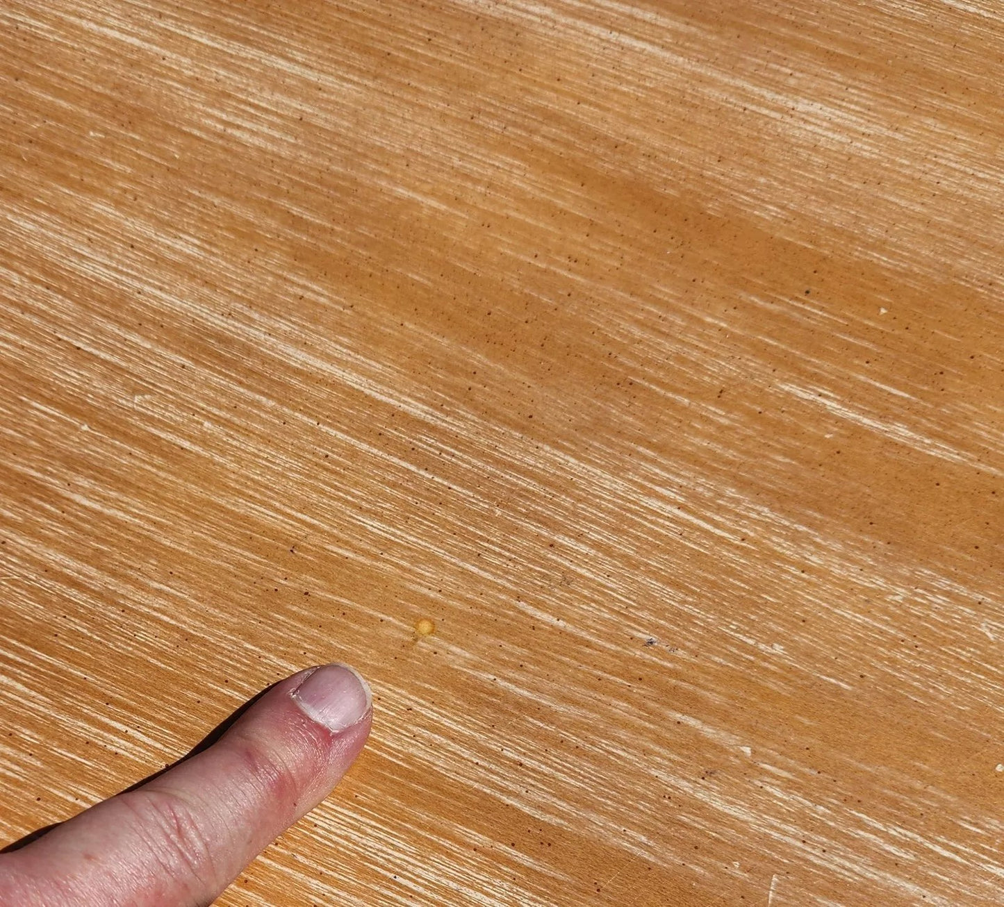 Pam Bolick Asian Commode Dresser By CENTURY FURNITURE Hand Painted & Signed