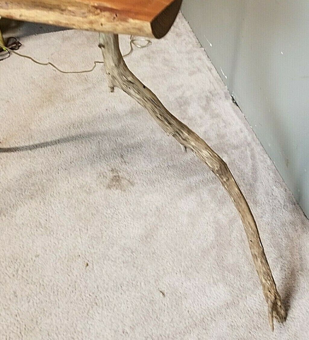 Vintage Large Animal Driftwood Floor Lamp w Table Horse Deer Beach House Coastal
