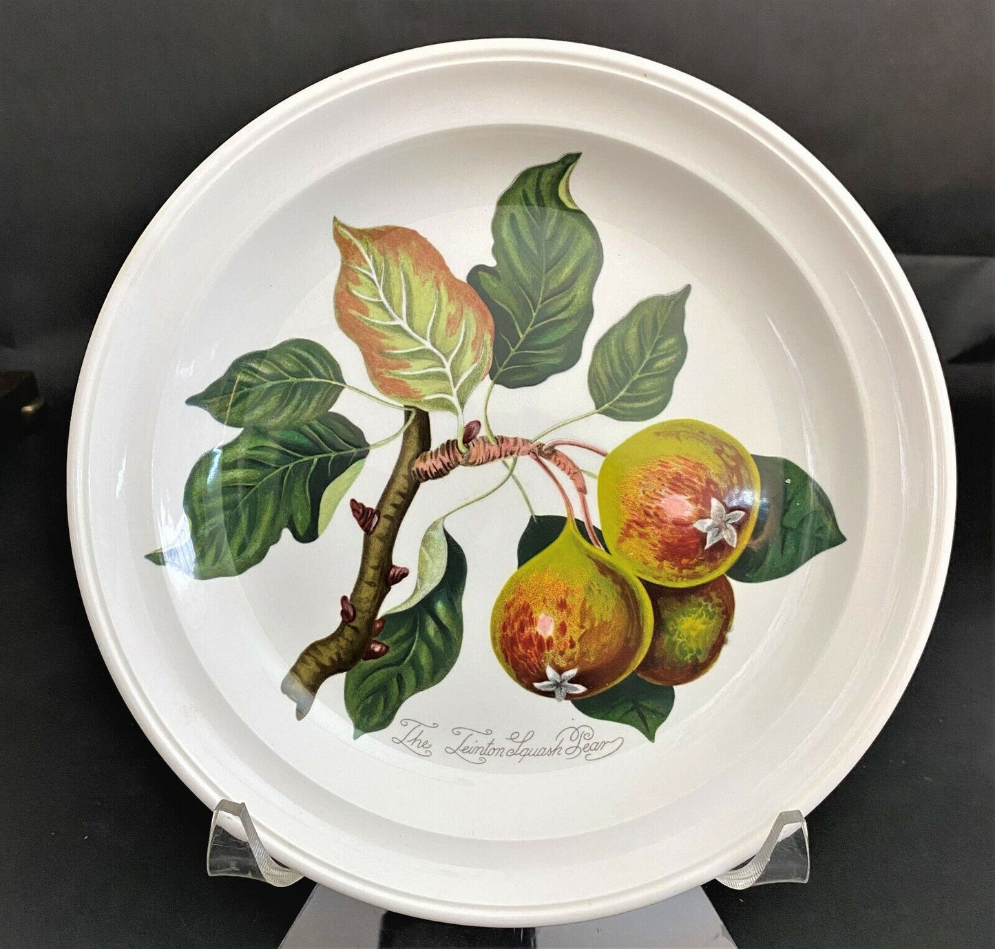 (1) PORTMEIRION Pomona Squash Pear 8 1/2" Salad Plate