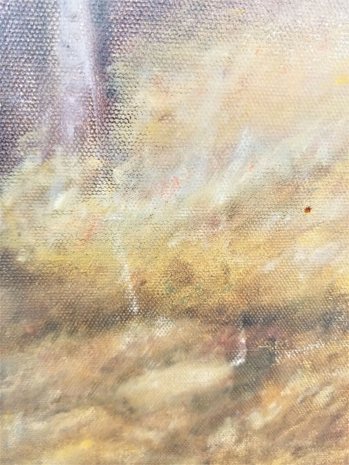 Vintage Signed "A. S." Horse and Rider in the Forest Painting on Canvas 30 x 24